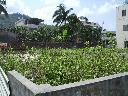 杉林建地